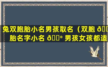 兔双胞胎小名男孩取名（双胞 🍁 胎名字小名 💮 男孩女孩都适用）